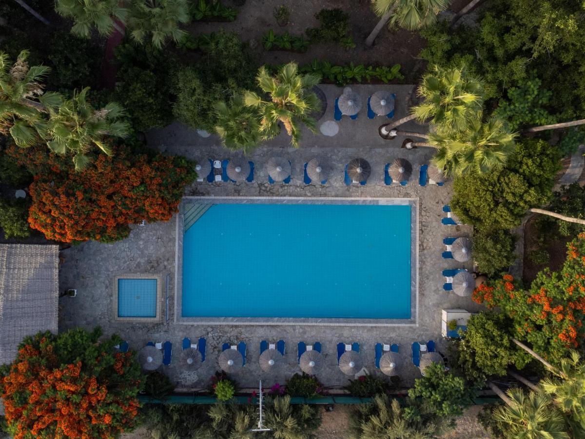 Veronica Hotel Paphos