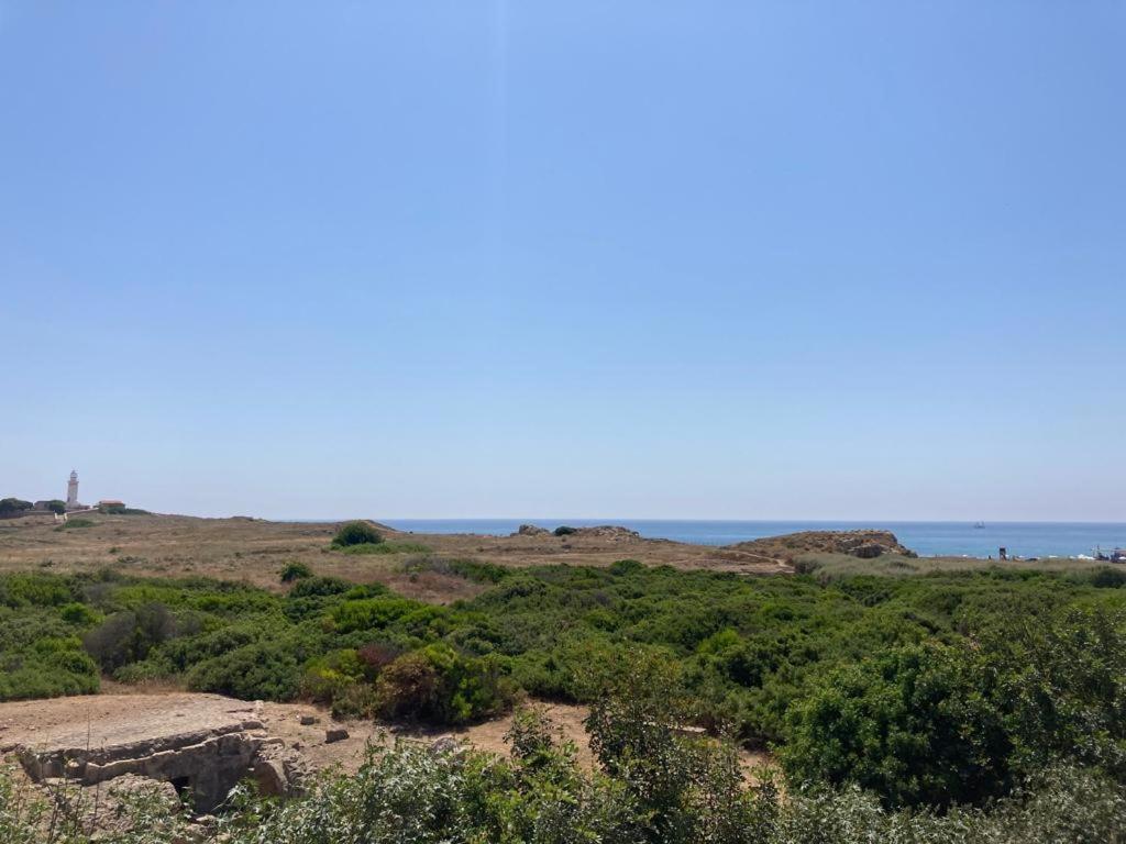 Apartment Ariadne Apartments Paphos
