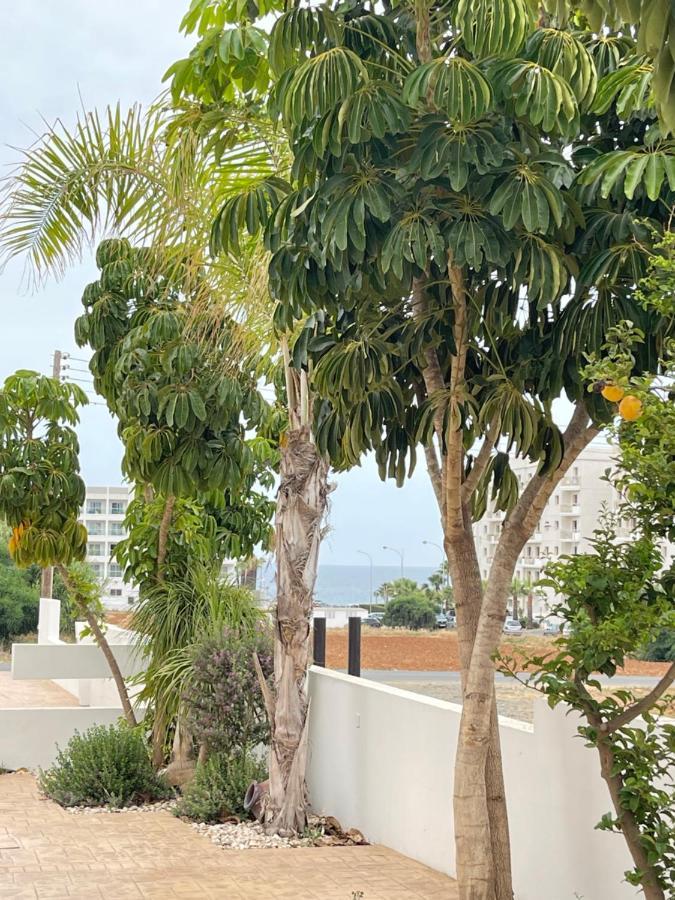 Tonia Seaview