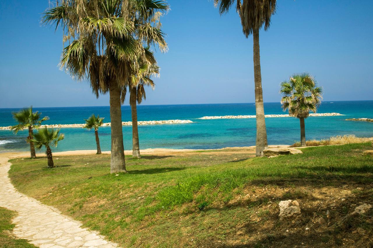 Venus Hotel Paphos