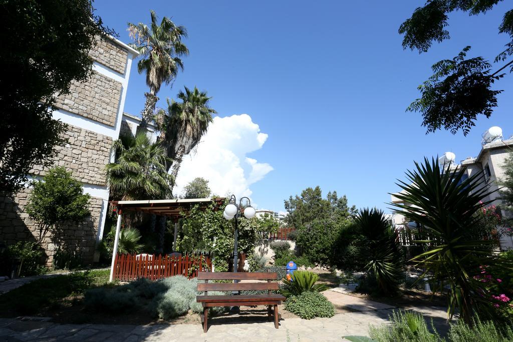 Dionysos Paphos