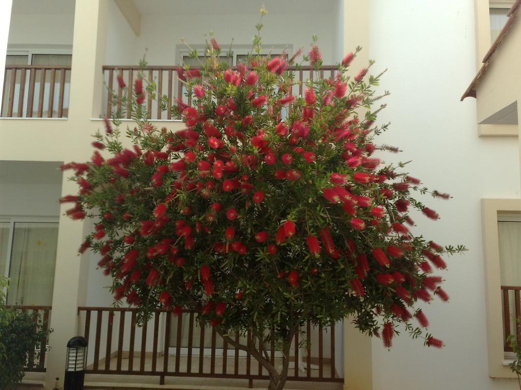 Aktea Village Resort Agia Napa