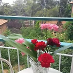 Edelweiss Hotel