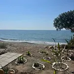 Leonidas Seaside