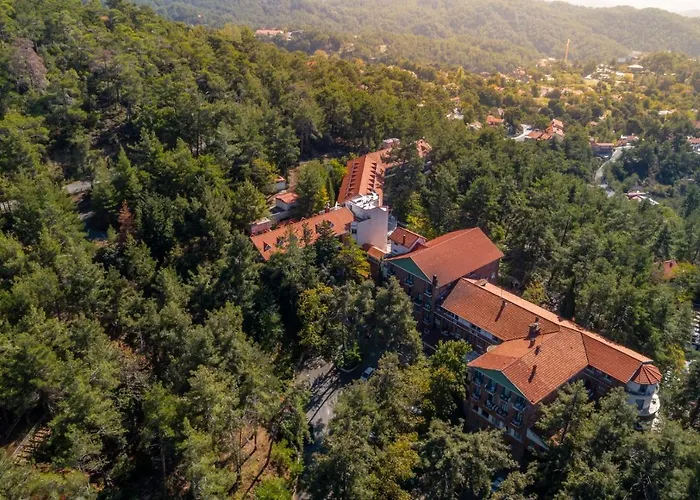 Forest Park Hotel