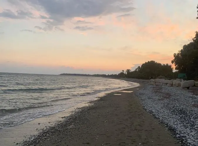 Leonidas Seaside