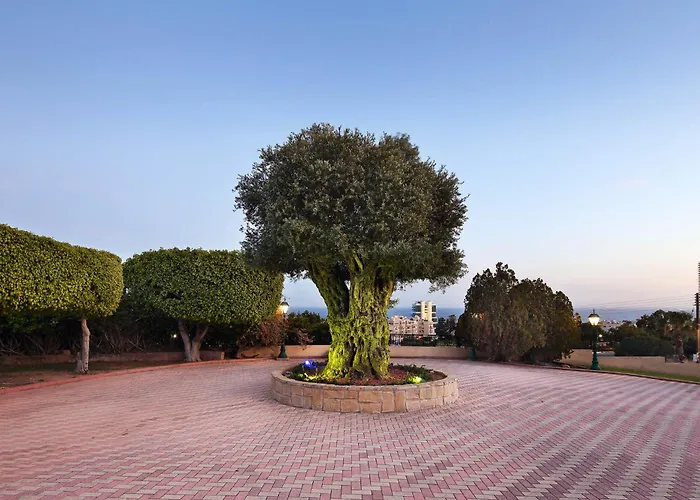 Olive Tree Apartments