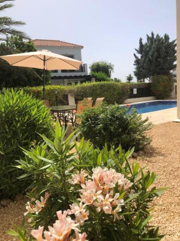 Denis, Marine Drive, Coral Bay Villa Peyia