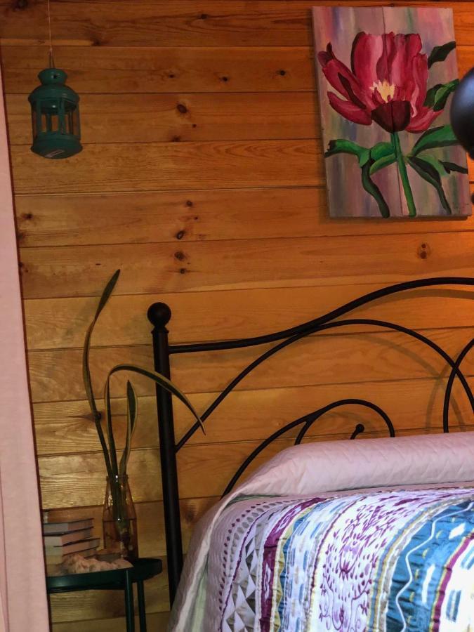 Happy Glamping Cy Chalé Agios Theodoros