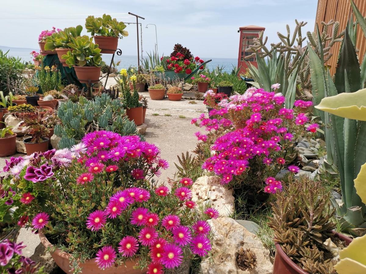 Anastasia Agia Marina (Northern Cyprus)