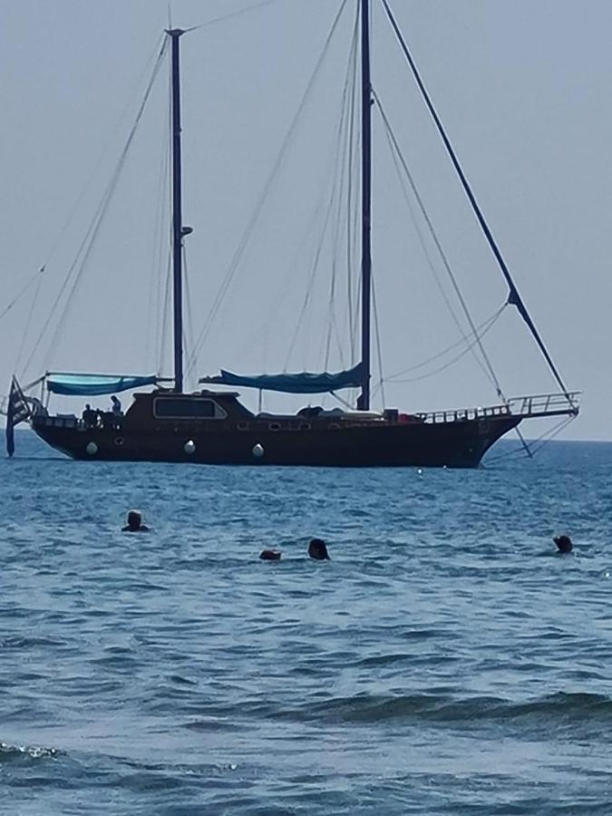 Alex 51 Larnaca