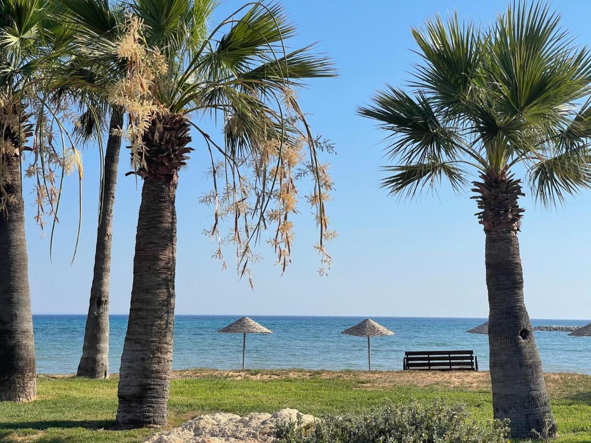 Apartment Sweetness By The Sea *