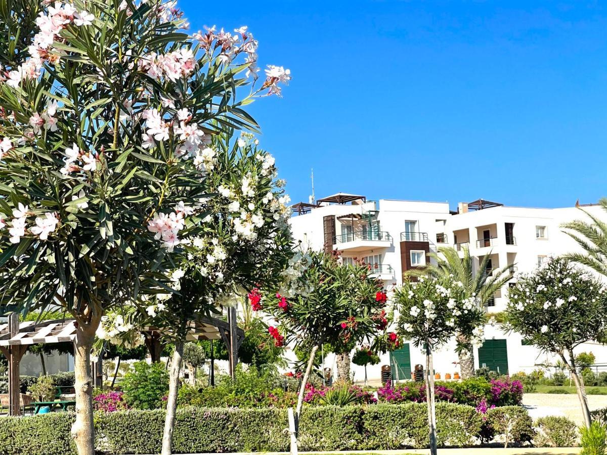 Apartment Sweetness By The Sea Vokolidha