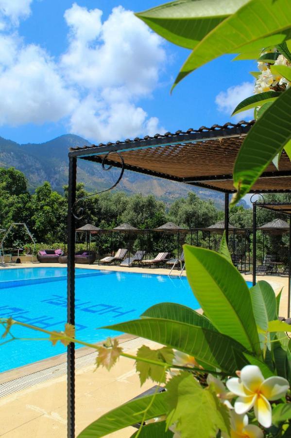 Bed & Breakfast Lapida Garden *