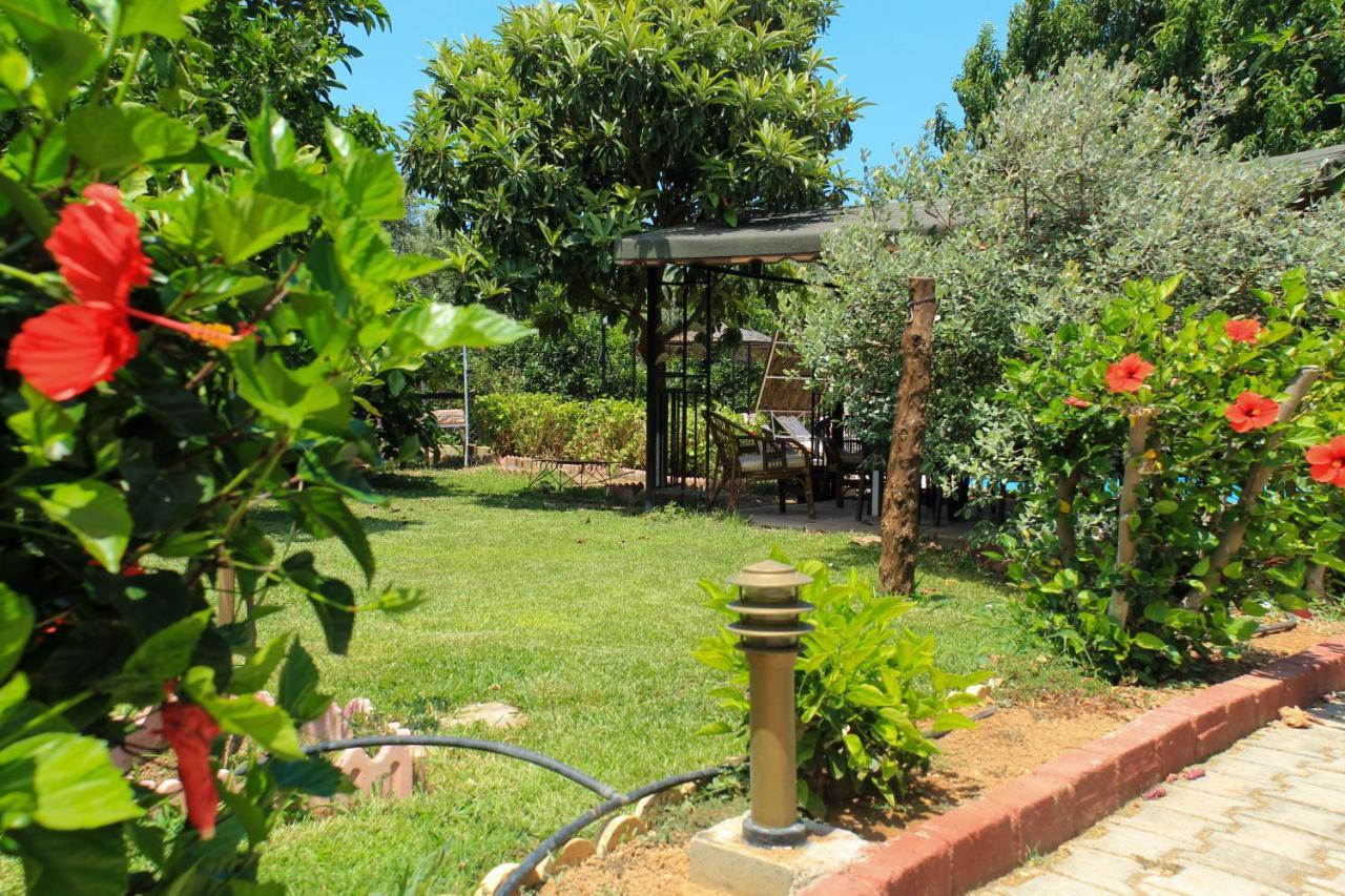 Lapida Garden *