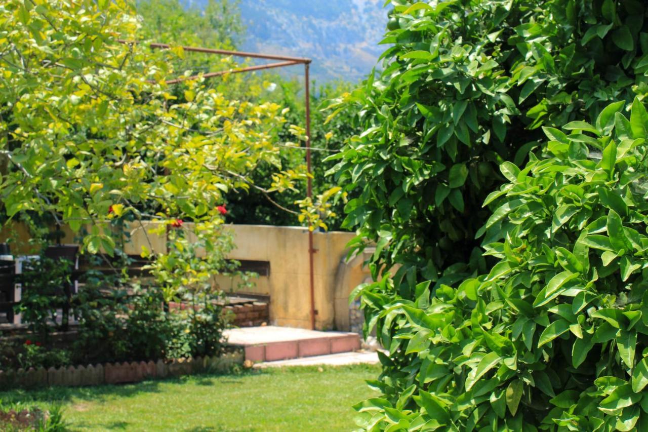 Lapida Garden Bed & Breakfast