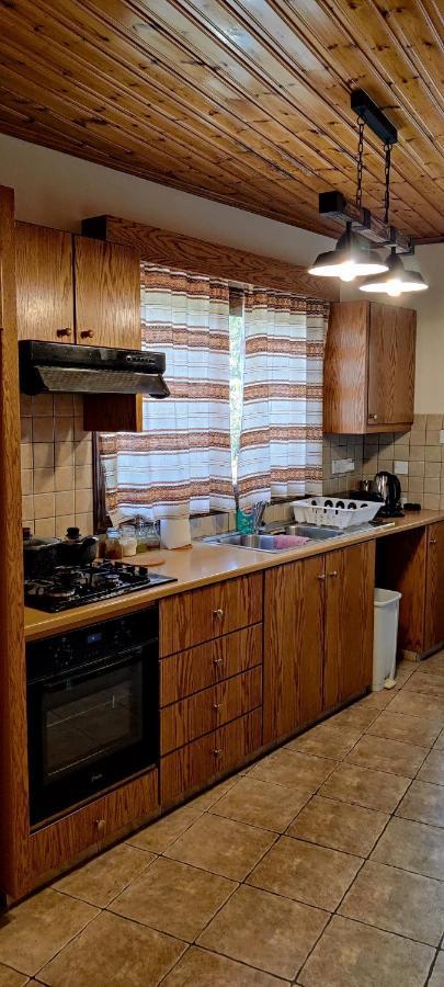 το σπίτι του προκόπη Holiday home Nicosia