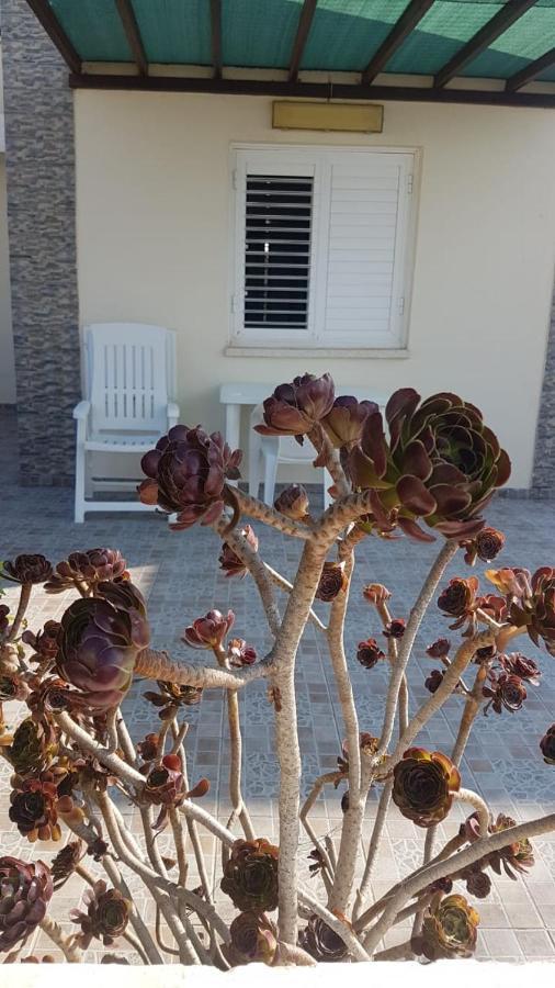 Panorama House, 5 Meters To The Sea *