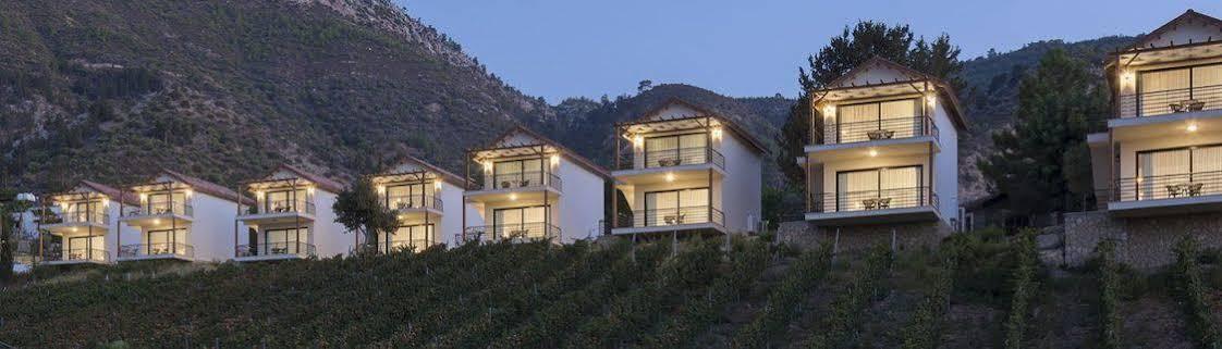 Gillham Vineyard Templos