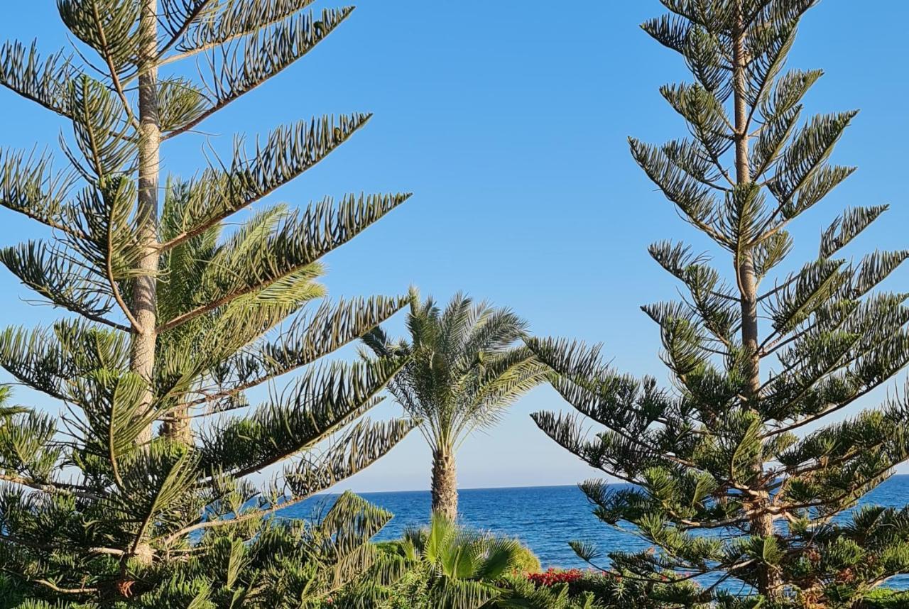 Villa Del Mar