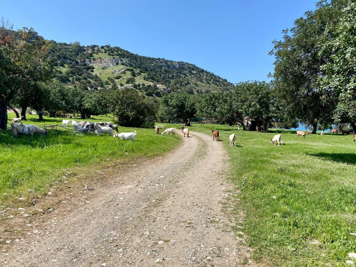 The Summer Haven Holiday home Polis