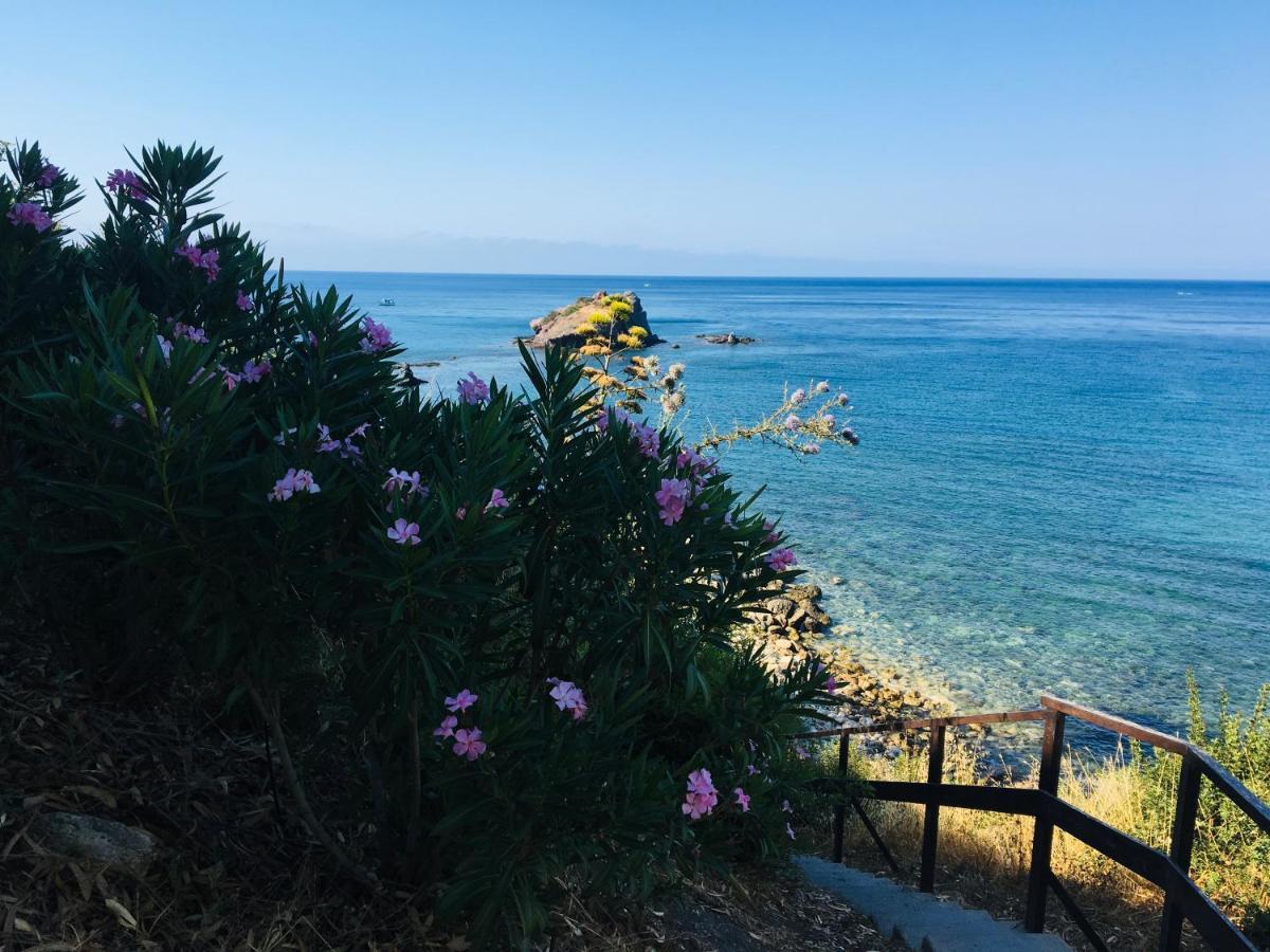 The Summer Haven