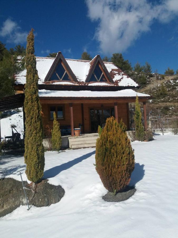 Timber Log House * Agros
