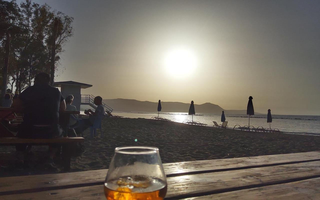 The Summer Haven * Polis
