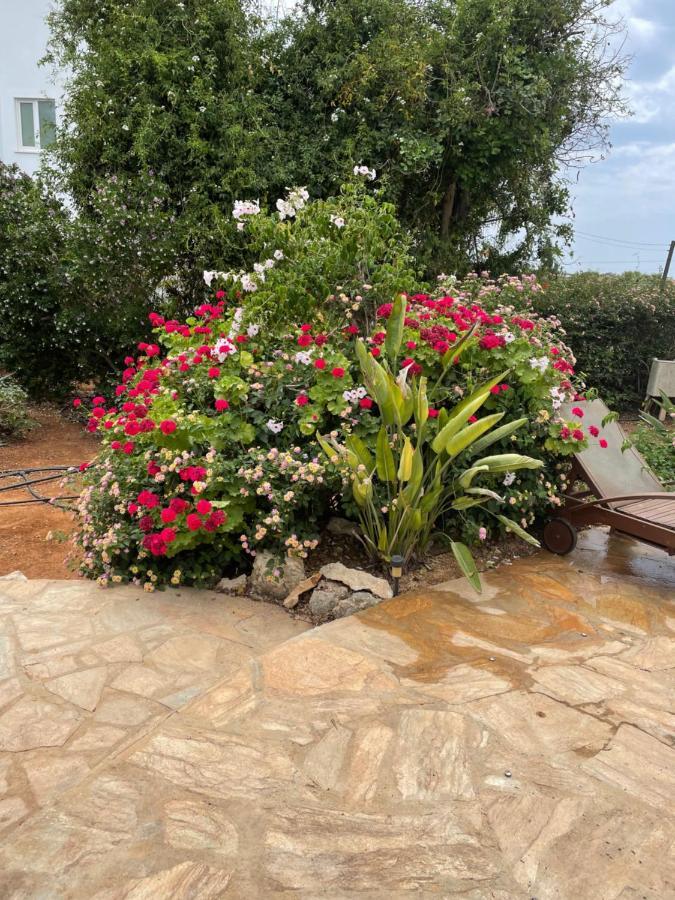 Holiday home Konnos *