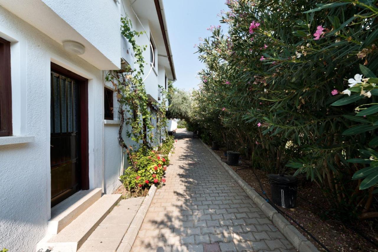Aparthotel Bare Hill Krini