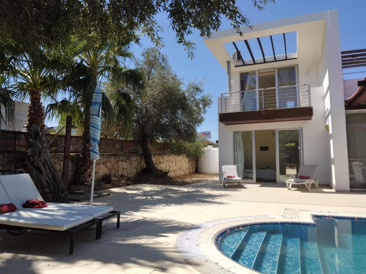 Aqua Royal Alexus Luxury Appartement