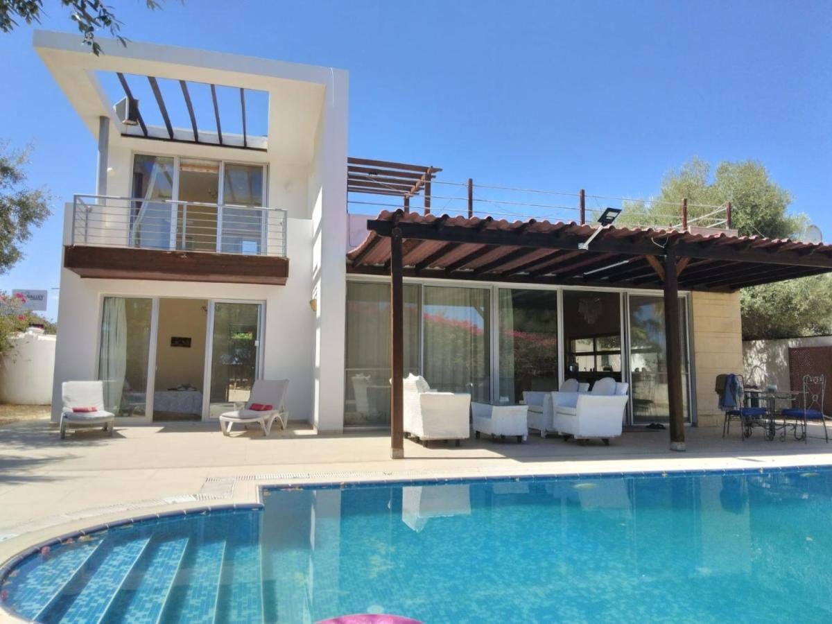 Aqua Royal Alexus Luxury Appartement
