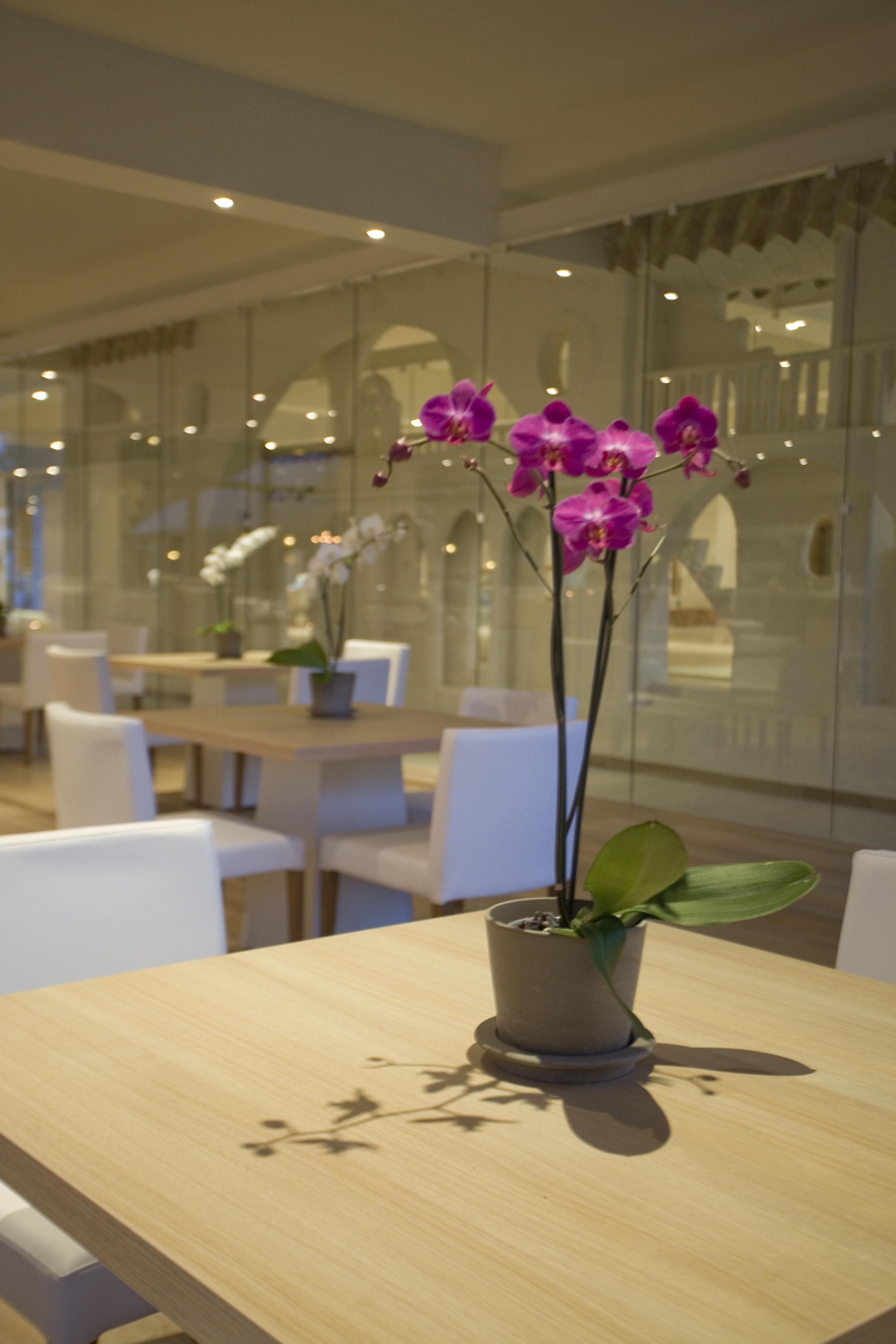 Sandy & - Ex Sentido 5* Larnaca