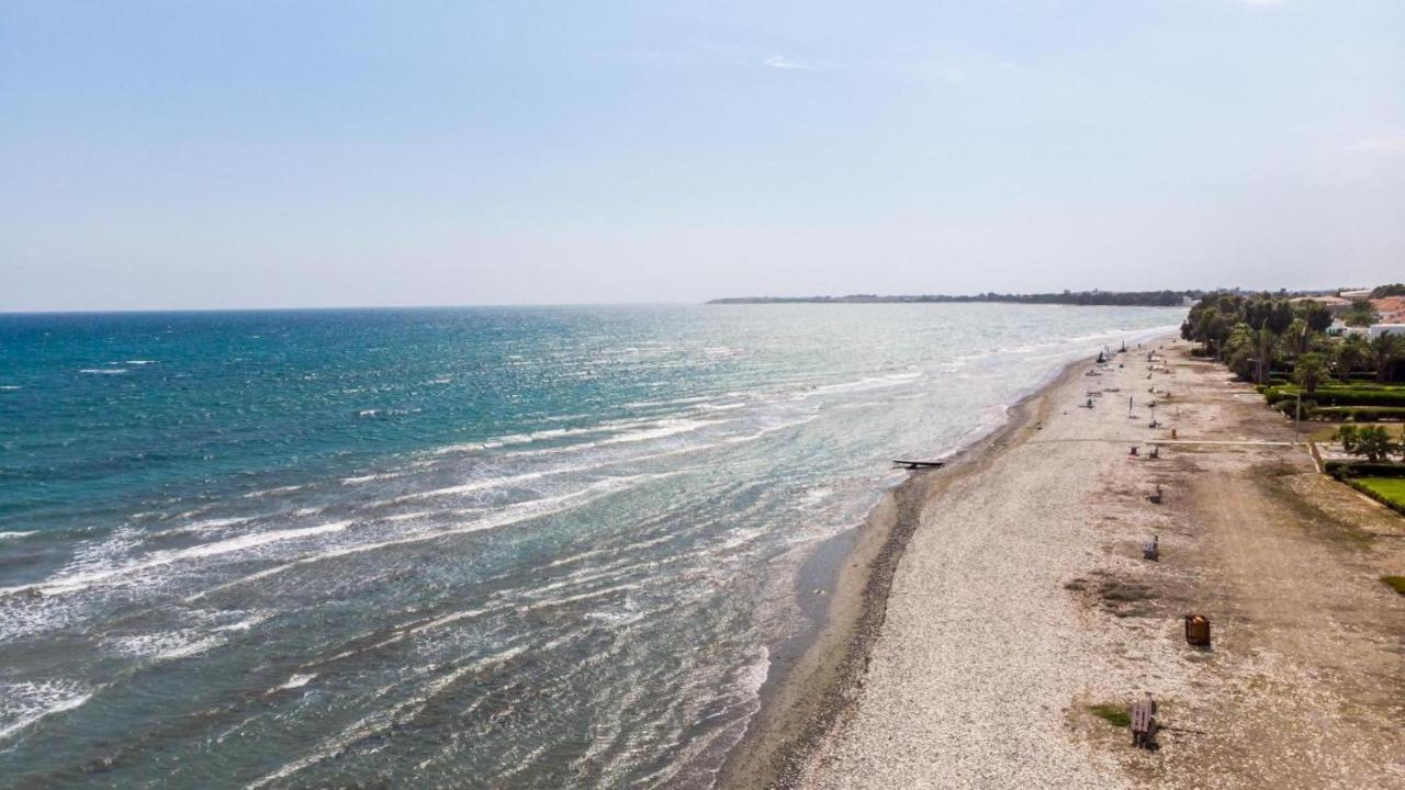Beachfront Carpe Diem *