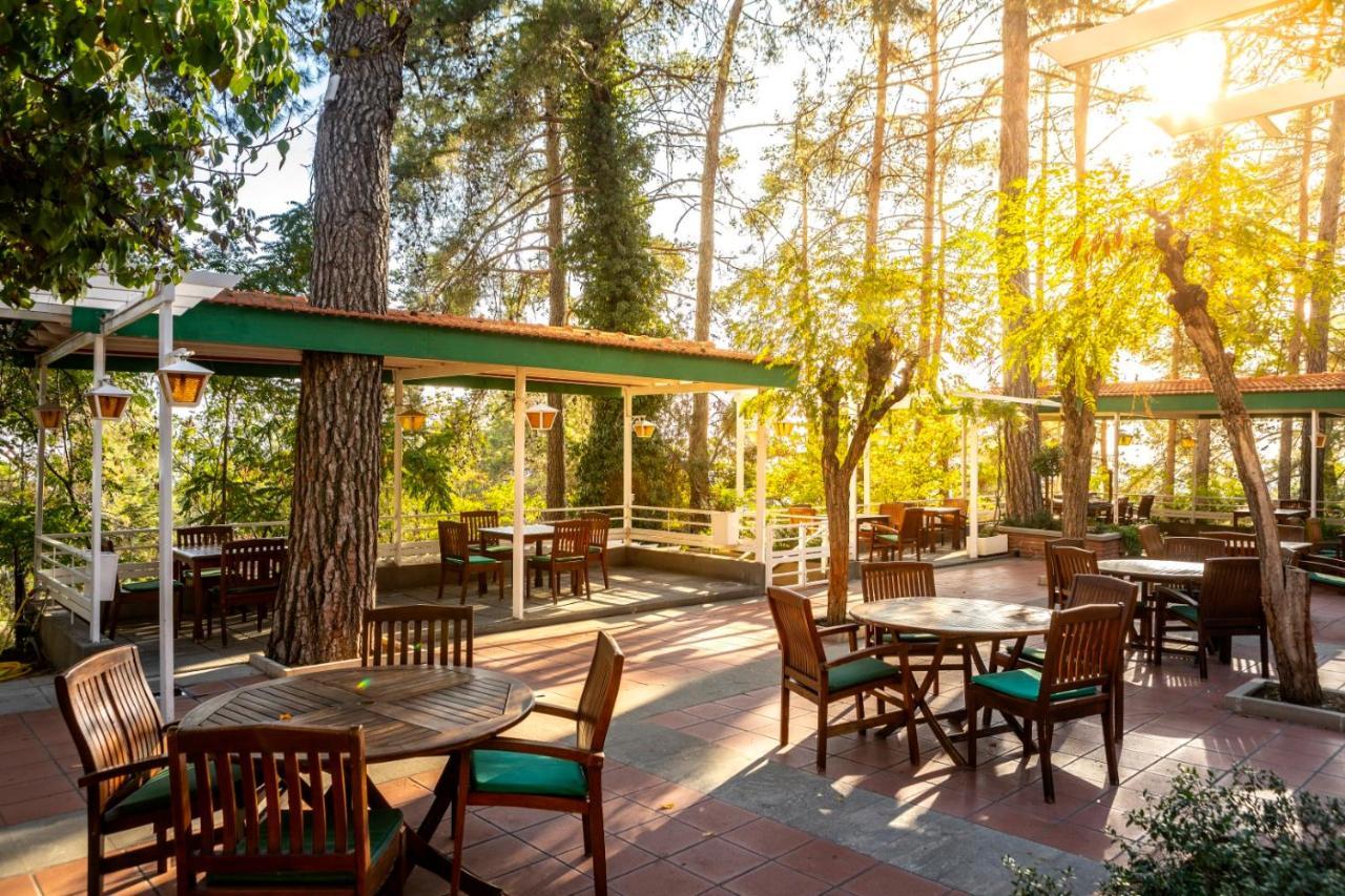 Hotel Forest Park Platres