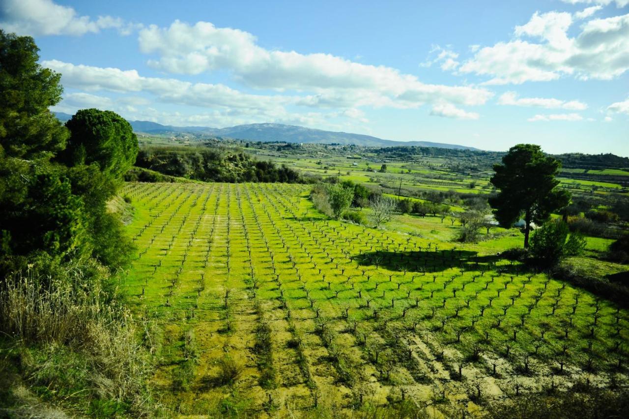 Secret Forest - Wellness Retreat & Healing (adults Only) 4* Miliou