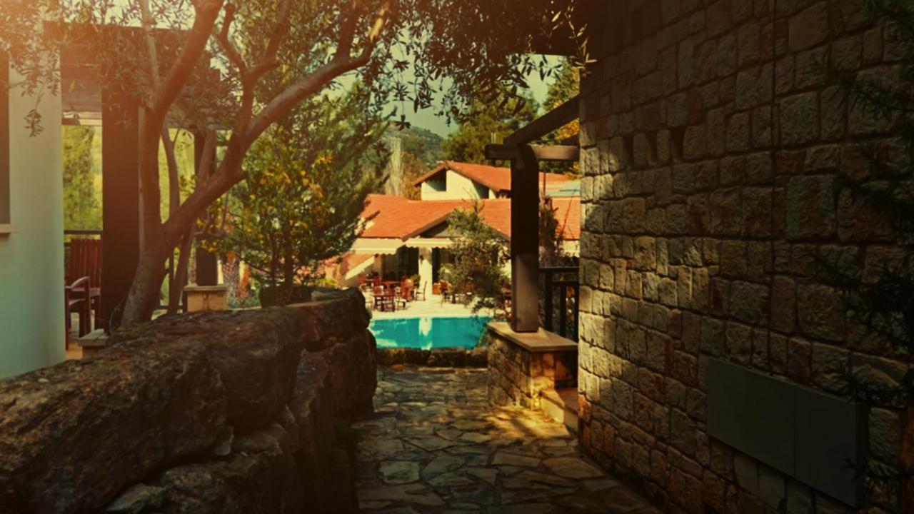 Secret Forest - Wellness Retreat & Healing (adults Only)