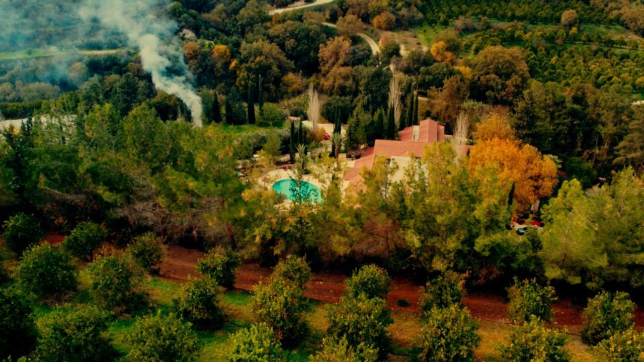 Hotel Secret Forest - Wellness Retreat & Healing (adults Only) Miliou