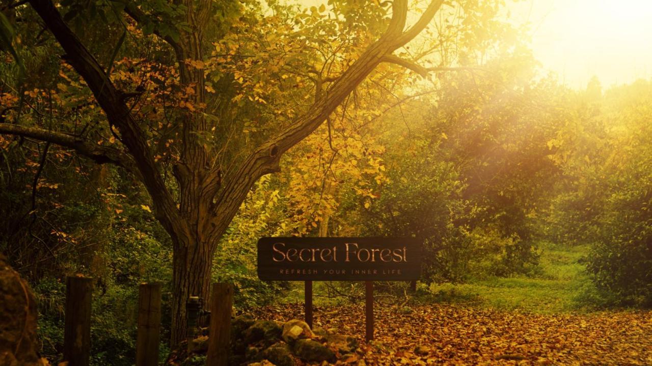 Secret Forest - Wellness Retreat & Healing (adults Only) 4* Miliou