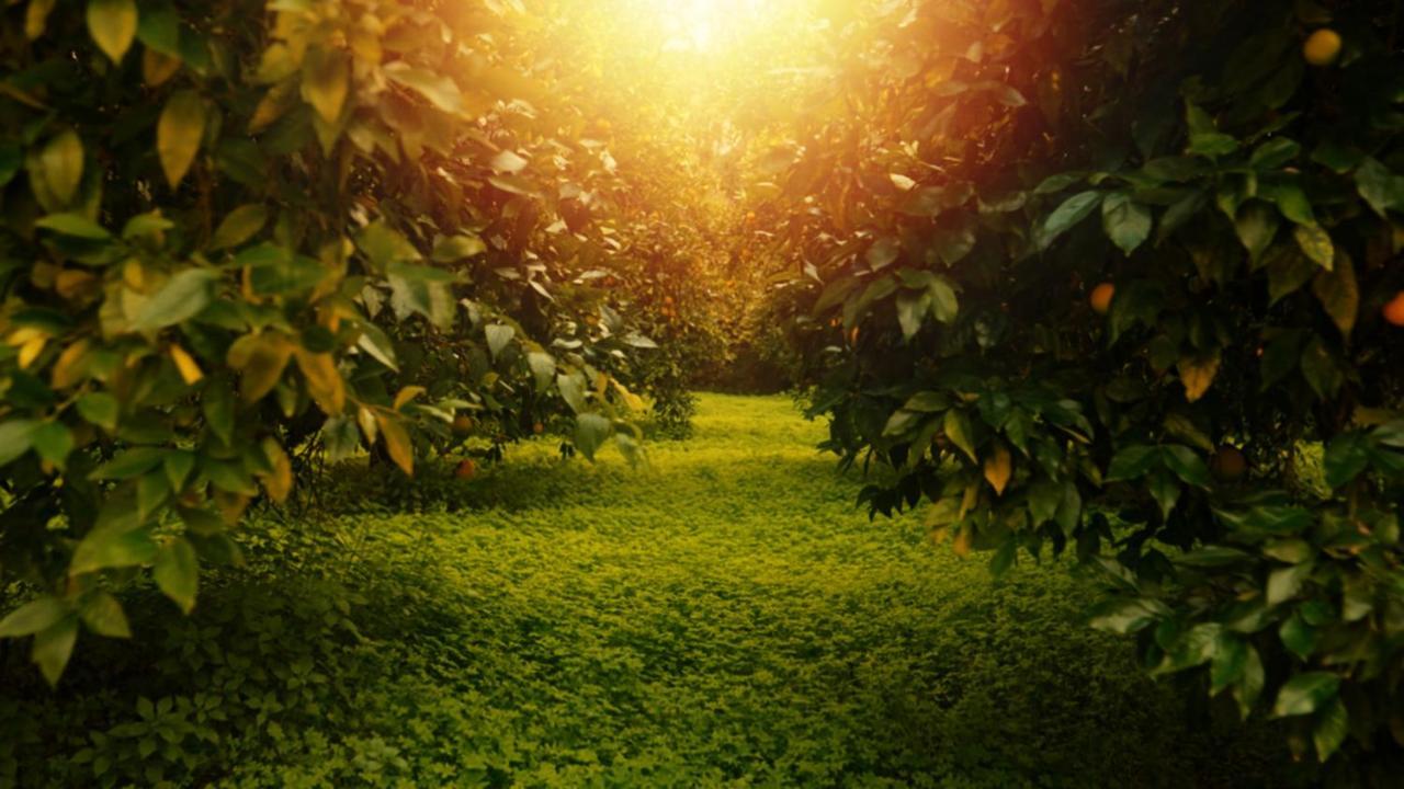 Secret Forest - Wellness Retreat & Healing (adults Only) 4*