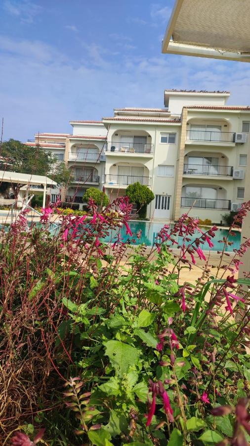 Apartment Fantastic 4 Cyprus First Line Beachfront