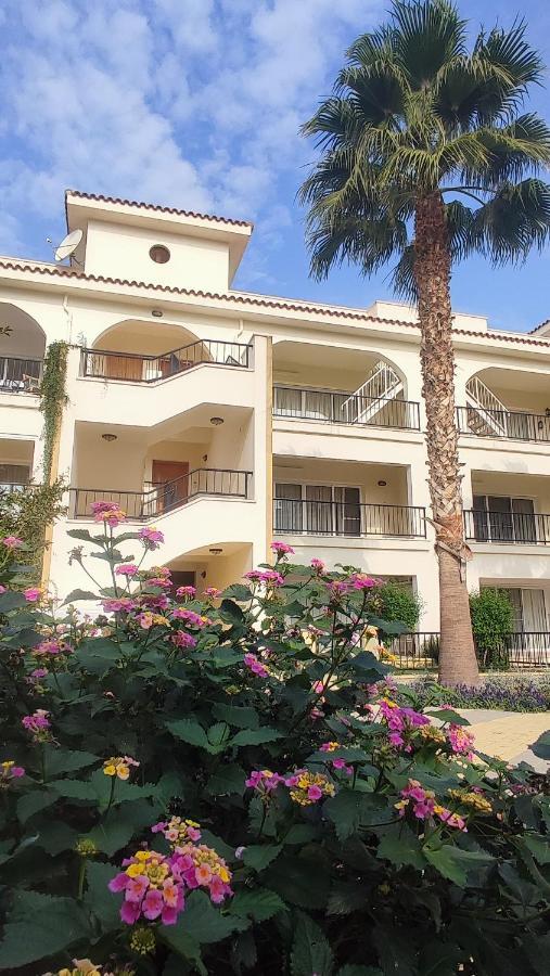 Fantastic 4 Cyprus First Line Beachfront Apartment Boghaz