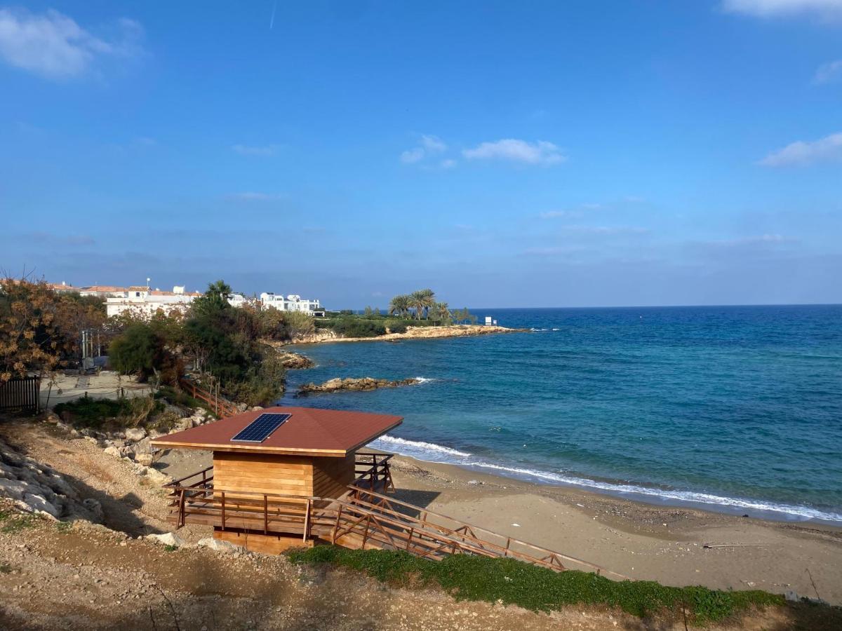 Olive Tree - Villa