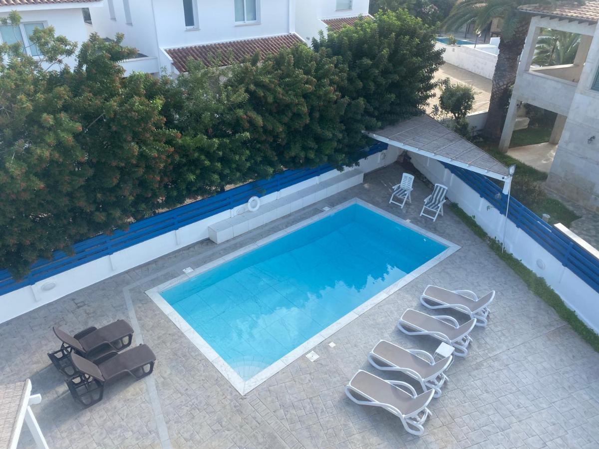 Olive Tree - Protaras