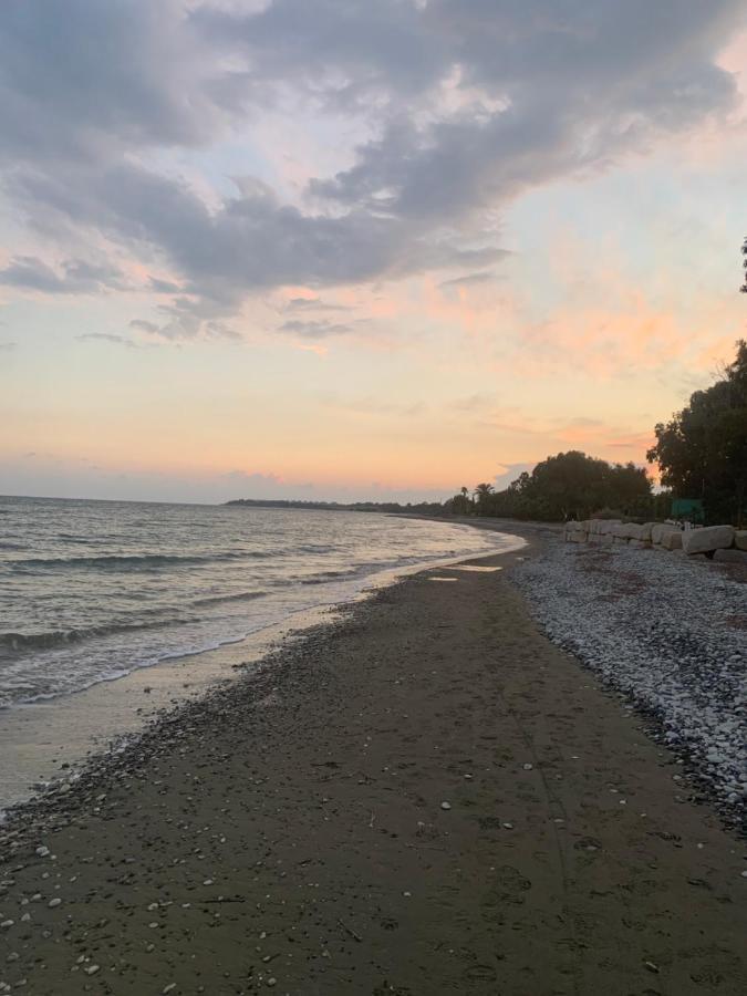 Leonidas Seaside *