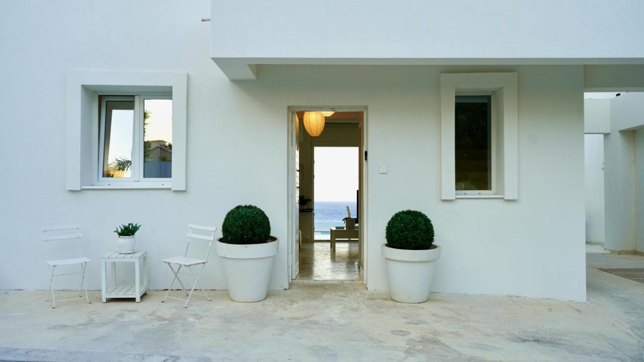 Narcissus 19 Paralimni