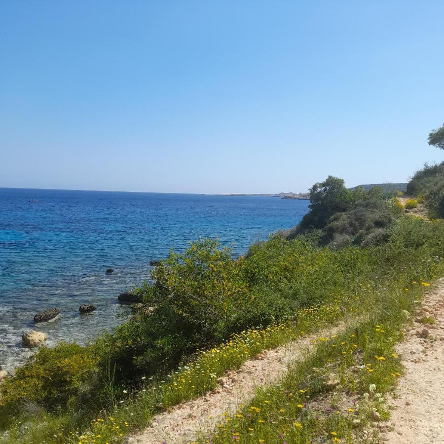 Marias Vakantiehuis Protaras