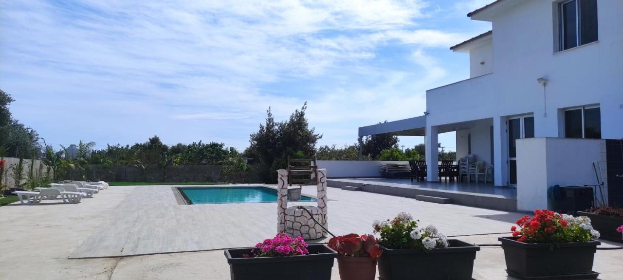 Village Villa, Cyprus, Salt-water Pool, 6 Bedrooms, Larnaca Kiti