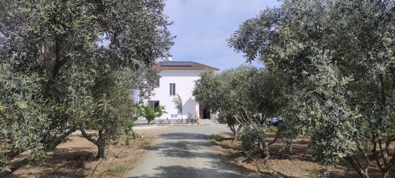 Village Villa, Cyprus, Salt-water Pool, 6 Bedrooms, Larnaca Villa