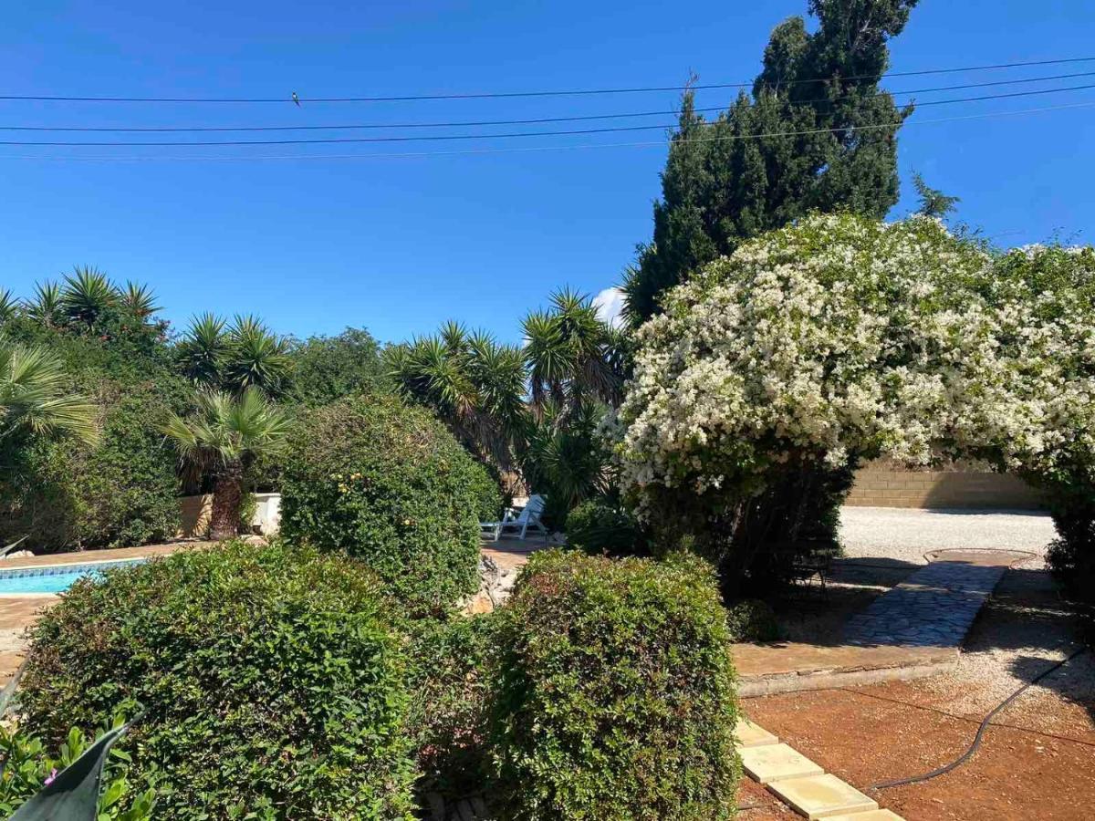 Konnos * Protaras